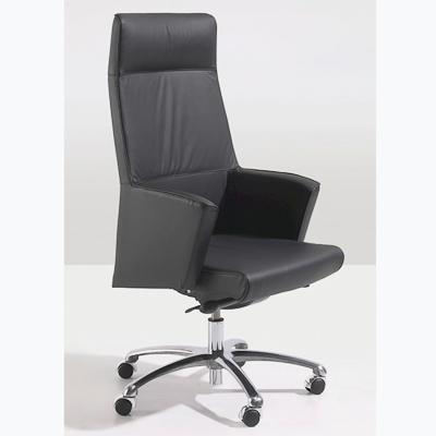 ada_respaldo_alto_cabezal_base_cromo_500