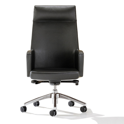 ada_respaldo_alto_cabezal_base_cromo_frente_500
